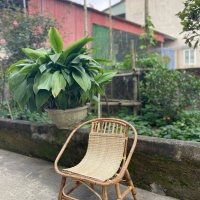Ghế mây sò tự nhiên ngồi thư giãn , thoải mái , êm ái chill chill