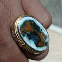 Bacan albino kembang motif gambar
