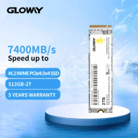 Gloway SSD M.2 2280 NVMe 1TB 512GB 2TB PCIe 4.0 x 4 Internal Solid State Drive Hard Disk m2 ssd for Desktop and Laptop