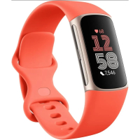 Fitbit Charge 6 智能運動手錶 | 平行進口|.AI精準心率、地圖/錢包支付、ECG心電圖、7天長續航  珊瑚紅 