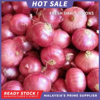 【 YQOOK Mall】12 Fresh VegeSmall Shallot Bawang Kecil 500g/1000g
