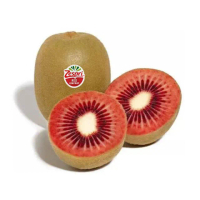 【優鮮配】原裝紐西蘭Zespri紅心奇異果6盒(6±3顆/500g/盒)