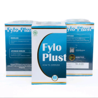 HERBAL AMPUH SIPILIS FYLO PLUS UNTUK PENGOBATAN
