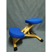 《Chair Linya》母親節特惠 保護脊椎 日本熱銷正姿椅 椅墊+跪墊(不含椅架)