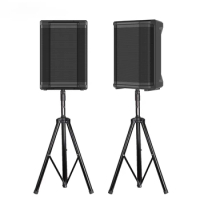 Subwoofer professional audio wireless Karaoke sets PA speaker system DSP function sound box portable Bocina Parlant PA Speaker