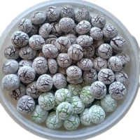 Kue Bolu Salju Kue Retak dengan Rasa mix pandan & cokelat