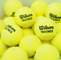 特價 WILSON TRAINER 無壓練習球 60顆/袋含運不拆售 WRT132200【陽光樂活】