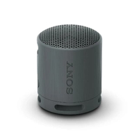 ลำโพงพกพาบลูทูธ (2.5 วัตต์, สีดำ) รุ่น SRS-XB100