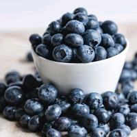 ( 15 BUTIR BENIH ) BUAH BLUEBERRY YANG SEGAR