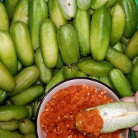 Cây Giống Khế Tàu Dễ Trồng Cho Trái Quanh Năm