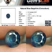 Natural Blue Sapphire Fancy Color 1.6ct GLI Material Nice Color Good Luster Gemericik Siang Malam