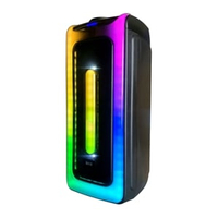 เอสเคจี ลำโพงบลูทูธ รุ่น SR-207 สีดำ