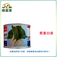 【綠藝家】大包裝A70.黑葉白菜種子(日本進口)35克