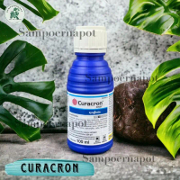 Promo curacron Insektisida pembasmi hama kutu putih curacron 500EC 100ml Berkualitas