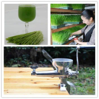 Hot sale healthy wheatgrass juicing machine manual stainless steel fruit vegetable juicer ZF