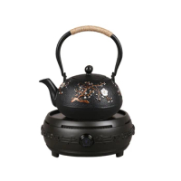 Cast Iron Tea Pot Set with Electric Stove Japanese Teapot Tetsubin Kettle Drinkware Kung Fu Tools dragon Tea Kettle 1.2L