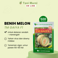 Q&J Benih Melon Tm Gaiya F1 500 Biji Benih Melon Super NewEk145