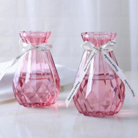 2個裝 玻璃花瓶透明歐式水培綠蘿植物花瓶客廳擺件