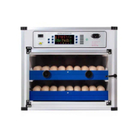 【暖福寶】110V孵化機全自動孵蛋機孵化箱蘆丁雞鴨蛋鵝蛋(138枚雙電)