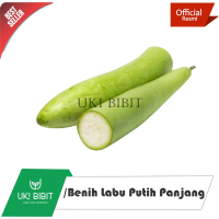 ( 500 Butir ) Benih Labu Putih Panjang | Blonceng | Labu Air | Labu Sayur | Kukuk