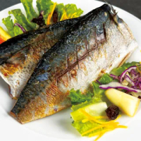 南方澳當季肥美鯖魚 活動加碼送肉鯽魚