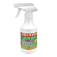 【十田修繕】壁癌白華溶解劑 250ML(壁癌 白華 乳膠漆 批土 油漆 防霉 除霉)