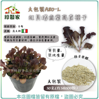 【綠藝家】大包裝A80-1.紅貝塔齒葉萵苣種子30克(約34000顆)寶貝菜.貝比生菜