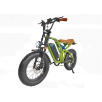 Light Green Double shock absorbers Off-road 20Inch K12 750W Motor 48V10.4Ah battery capacity folding electric bike