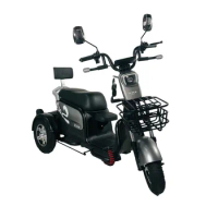 Three Wheel Scooter Mobility Scooter Elderly Trike Motorcycle For Adult