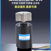 4260 Vibration Brushless DC Motor With Adjustable Speed 12V 24V Micro Planetary Gear High Torque Motor Small Motor BLDC PWM