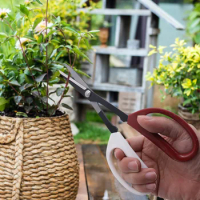 Bonsai Tool Long Handle Scissors Gardening Plant Branch Shears Garden Pruning Tools Bonsai Scissors