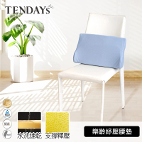 【TENDAYS】HealthCare 紓壓腰墊(背墊)