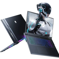 Thunderobot ZERO 16 i9-14900HX RTX 5070 32GB+1TB Windows 11 Pro 電競手提電腦(NB-TZ6I9A+LB-PCNB)