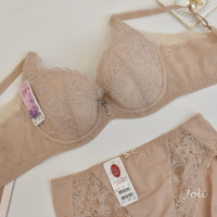 【新降現貨】曼黛瑪璉 現貨 Hibra 大波 R62162【C-E F-H 大罩杯】薄霧膚PM 內衣-喬妮內衣專賣