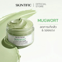 【ซื้อ 1 แถม 1】SKINTIFIC Mugwort Anti Acne Clay Mask หน้ากากดินสิว 55g