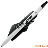 零卡分期免運 Roland AE-20 Aerophone 電子吹管(電子長笛、雙簧管、薩克斯風 管樂器)【唐尼樂器】