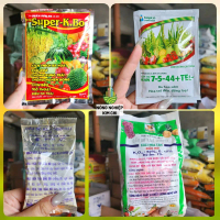 SUPER KALI BO - KALI TRẮNG - MAU TAN KÍCH RA HOA, ĐẬU TRÁI, TO TRÁI, NGỌT TRÁI (SỬ DỤNG CHO CÂY CÓ M
