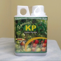 KP Kalium Phospat perangsangan pembesaran buah
