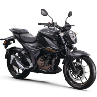 【SUZUKI 台鈴】GIXXER ER 250街車版 機車(油冷傳奇再度回歸/台鈴/黃牌檔車/重機/公司車)