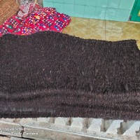 Keset ijuk hitam penghalau ular dan tikus