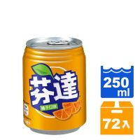 芬達橘子汽水250ml (24入)x3箱【康鄰超市】