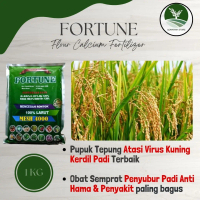 1 KG Booster Padi FORTUNE Cegah Kerdil dan Hawar Tanaman Padi - Pupuk Serbuk dan Semprot Padi terbai