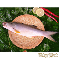 新鮮市集 人氣原味午仔魚2尾(250-300g/尾)