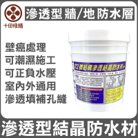 【十田修繕】TCI 潮濕牆面防水 滲透結晶防水材 2KG(水泥 壁癌 漏水 防水 混凝土 裂縫 彈泥 牆面 牆壁)