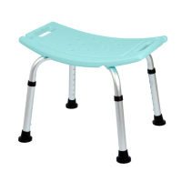 【恆伸醫療器材】ER-5001洗澡椅 防滑設計衛浴設備 老人孕婦淋浴(蓮蓬孔設計)