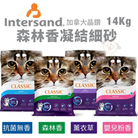 【單包免運】加拿大Intersand晶鑽 森林香凝結細砂14Kg 嬰兒香/抗菌無香/薰衣草/森林香 貓砂