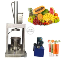 Small Capacity Fruit and Vegetable Juice Extractor Press Juicer Make Machine Apple Pear Carrot press Juicing Machine Price