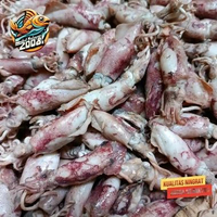 Ikan asin cumi sontong 250gr