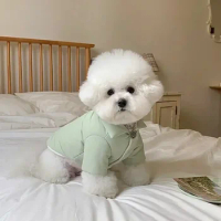 Small Cotton Than Warm Clothes Open Top Bear Thickened Down Coat Pet Teddy Dog Winter Solid Cold Soft Button Protection