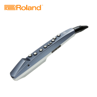 ROLAND AE-01 Aerophone mini 數位吹管